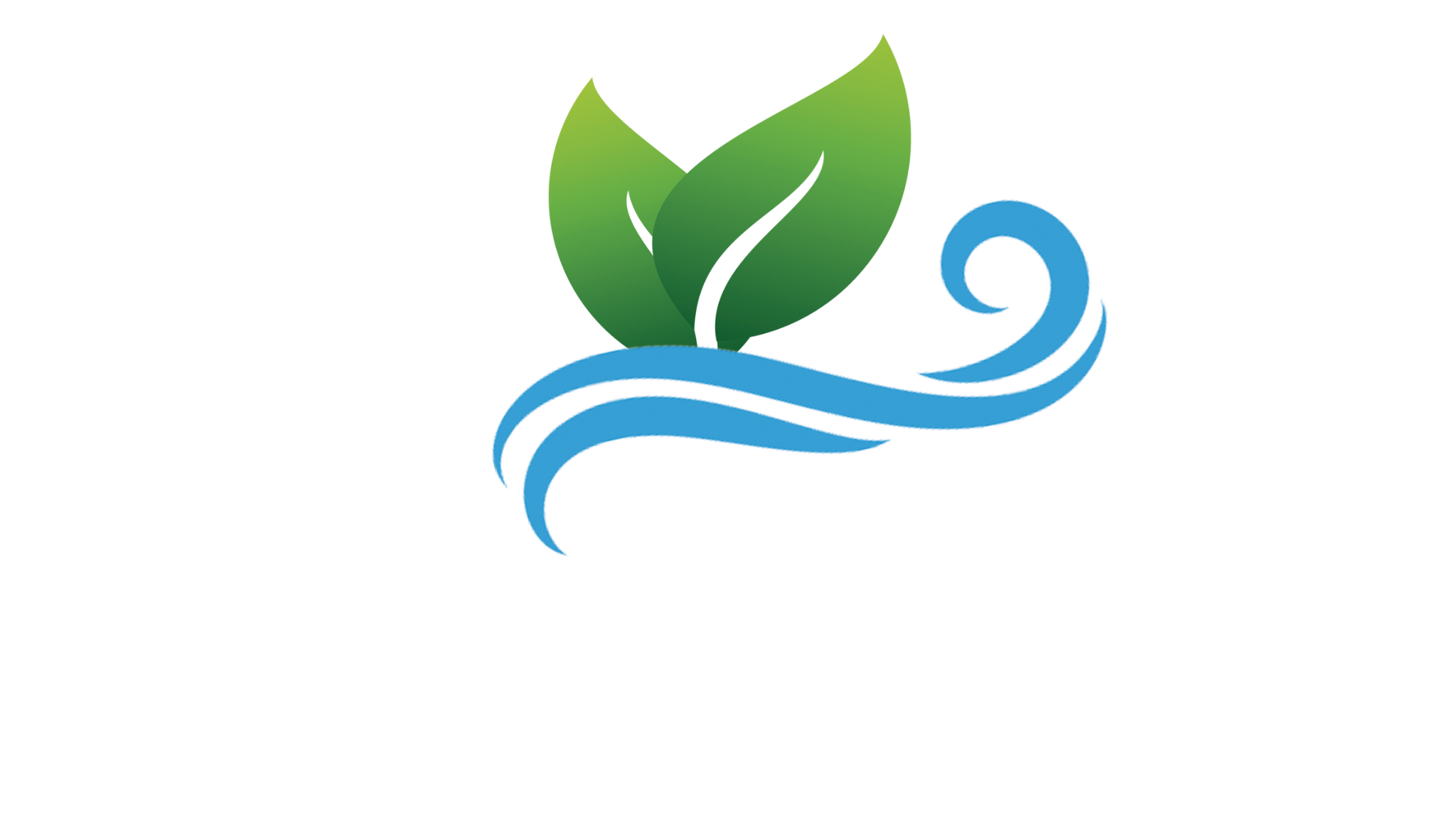 Max Services