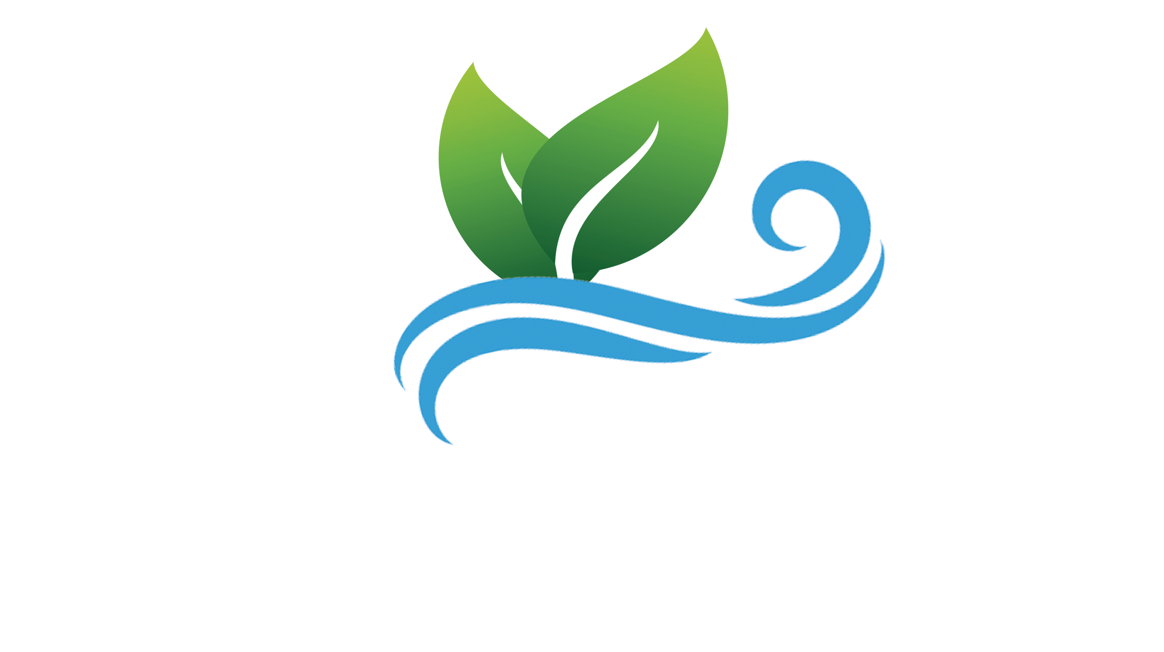 Logo Max Services