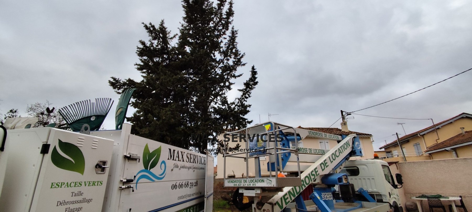 Abattage de 3 cyprès et dessouchage