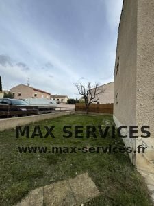 Elagage, taille et propreté