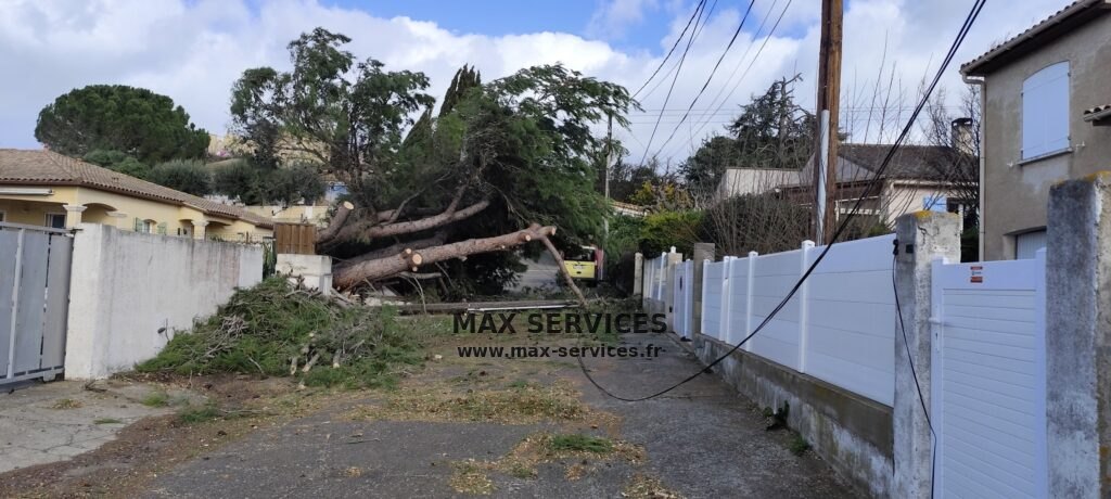 Intervention suite à la tempête Nils