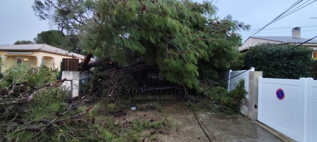 Intervention suite à la tempête Nils