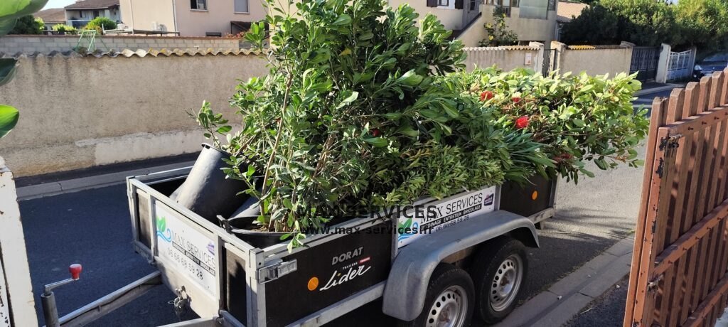 Plantation de haie