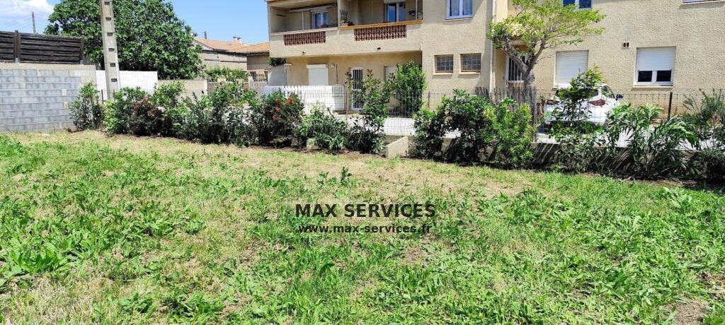 Plantation de haie