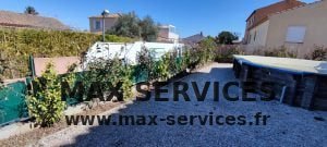 Plantation de haie