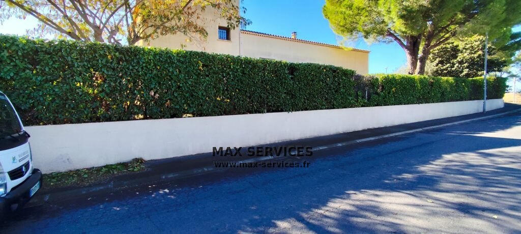 Taille de haies