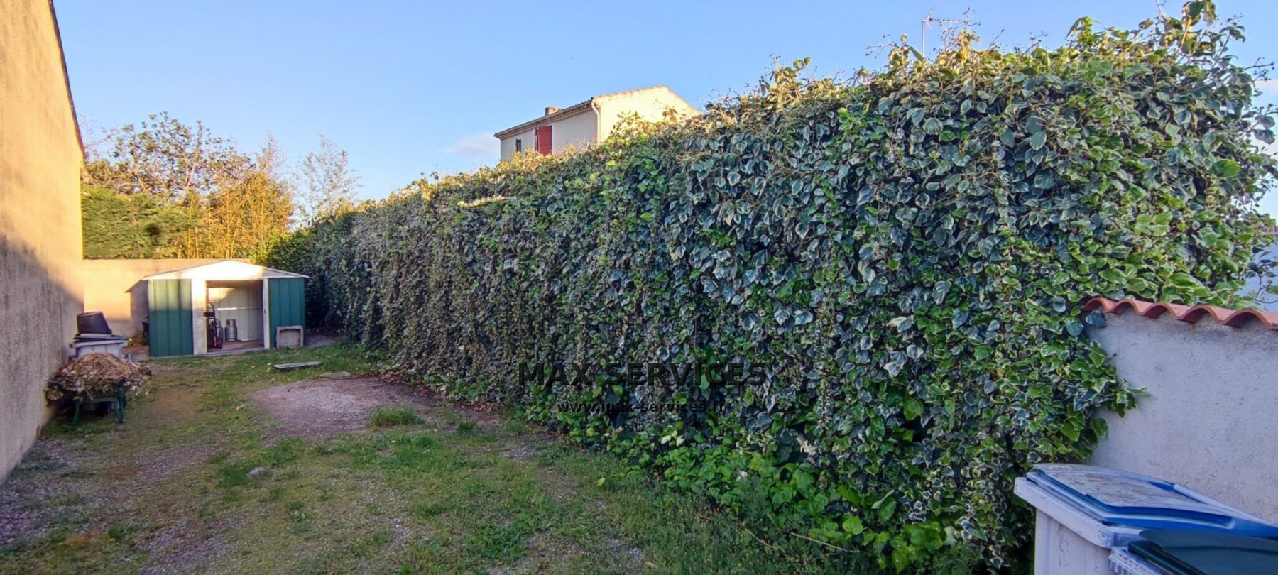 Taille de lierre (+ de 50 ans)