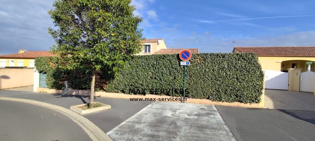 Taille haie Eleagnus