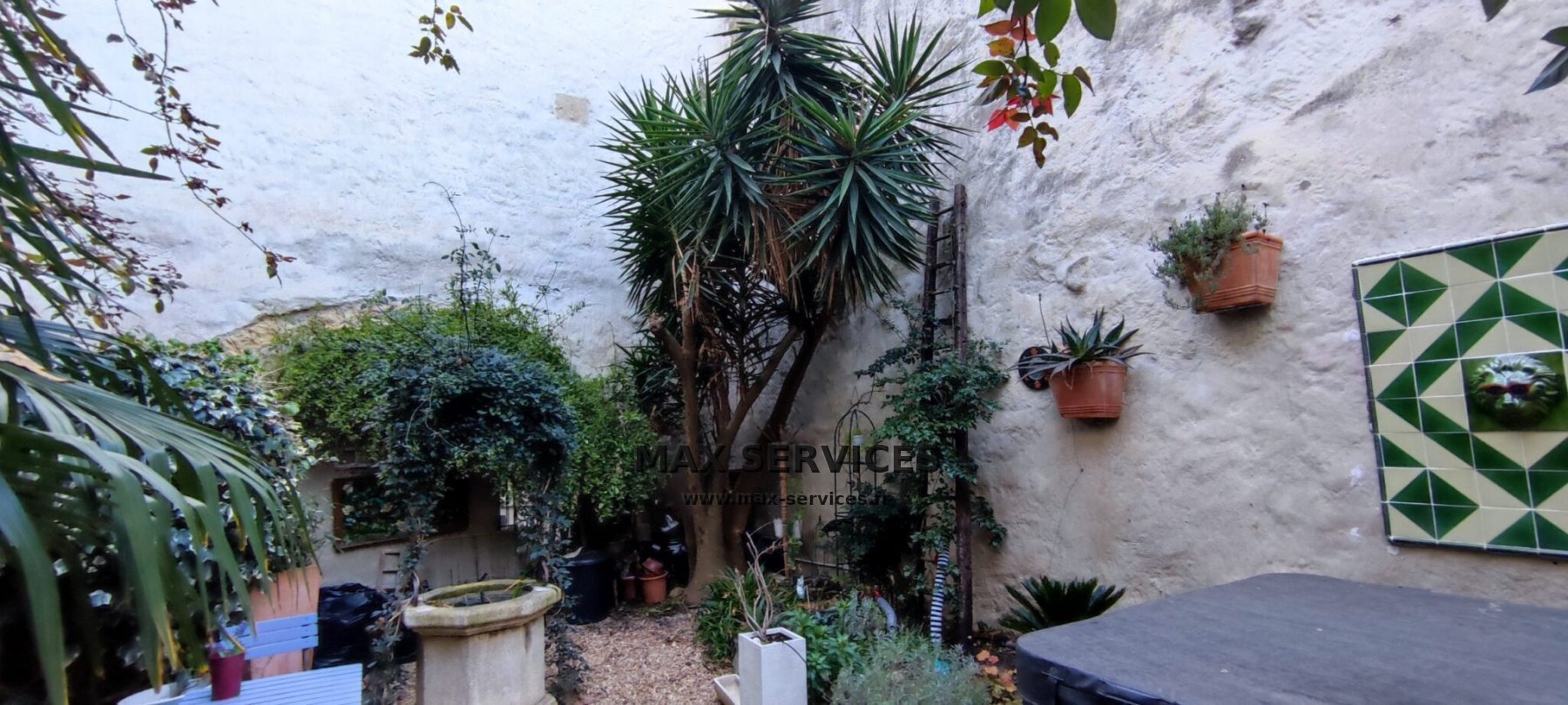 Taille Rosier et Yucca