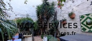 Taille Rosier et Yucca