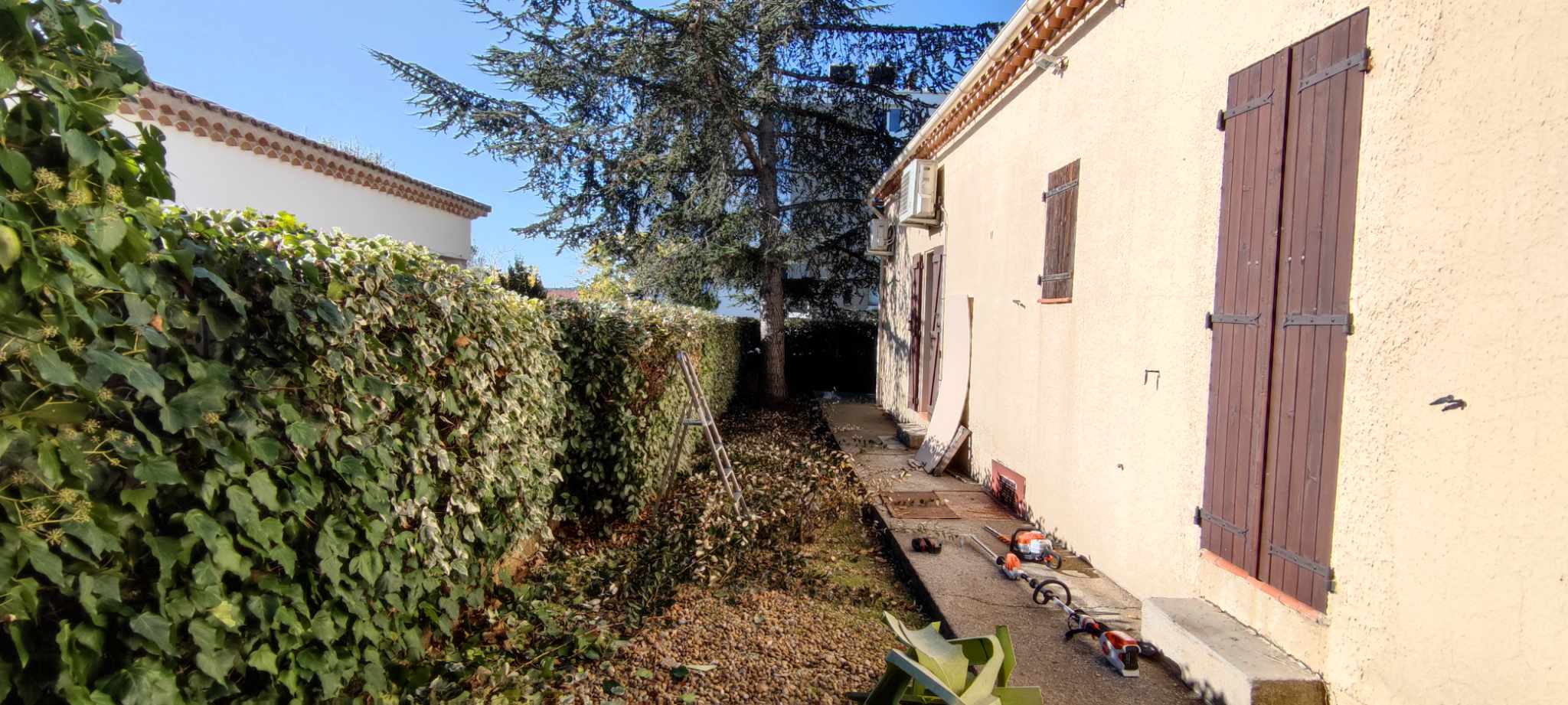 Taille, petit élagage et nettoyage