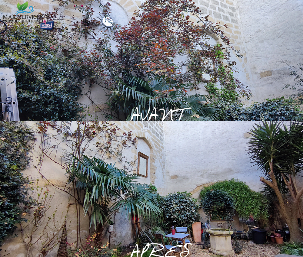 Taille Rosier et Yucca